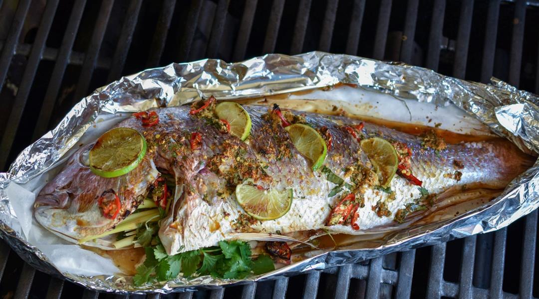Fish1