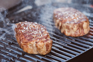 Direct Cooking Burner Models