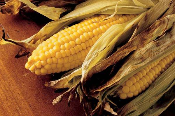 Sweet Corn In Husks