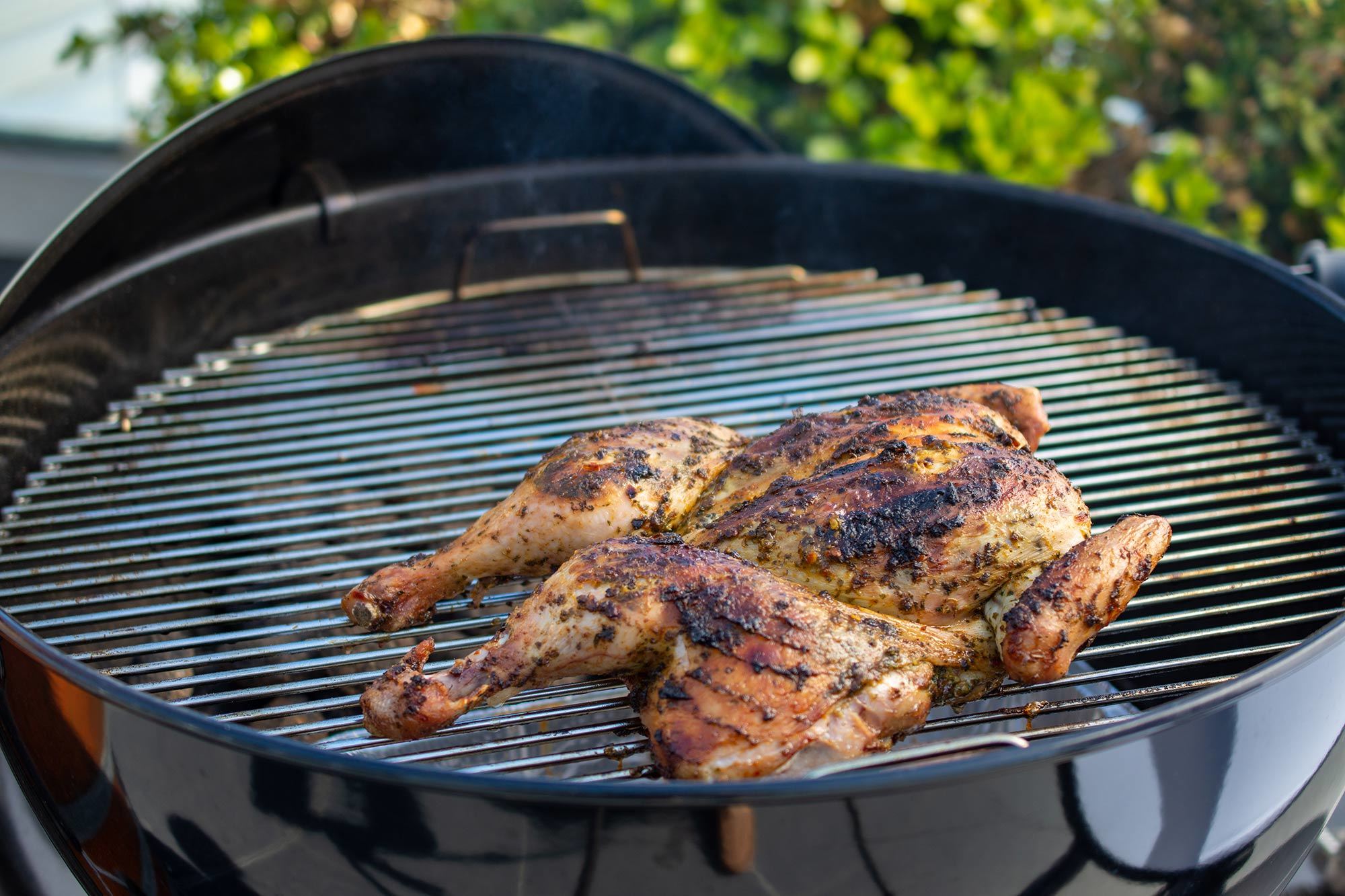Chermoula Chicken 1