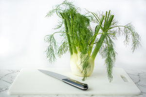 How To Prepare Grill Fennel 1