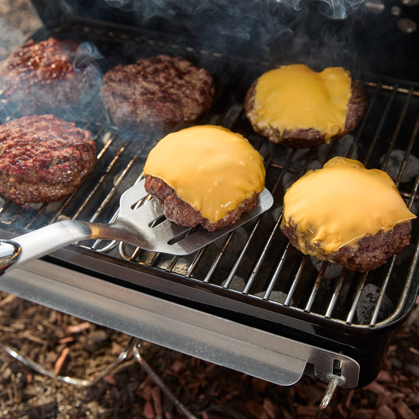 Go-Anywhere Charcoal Barbecue