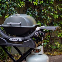 Baby Q® (G3) Flame iQ® Gas Flame Safeguard System