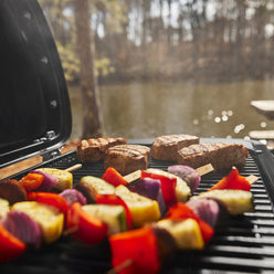 Weber Traveler® Compact Portable Gas Barbecue (LPG)
