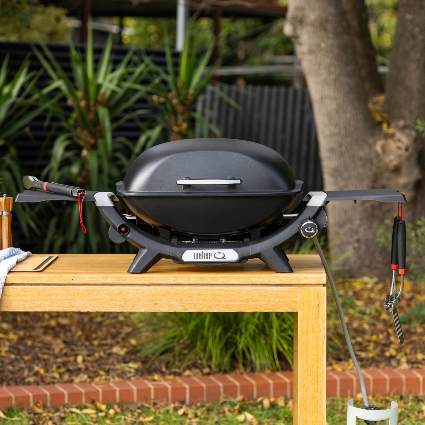 Weber® Q™ (Q2000N) Gas Barbecue (LPG)