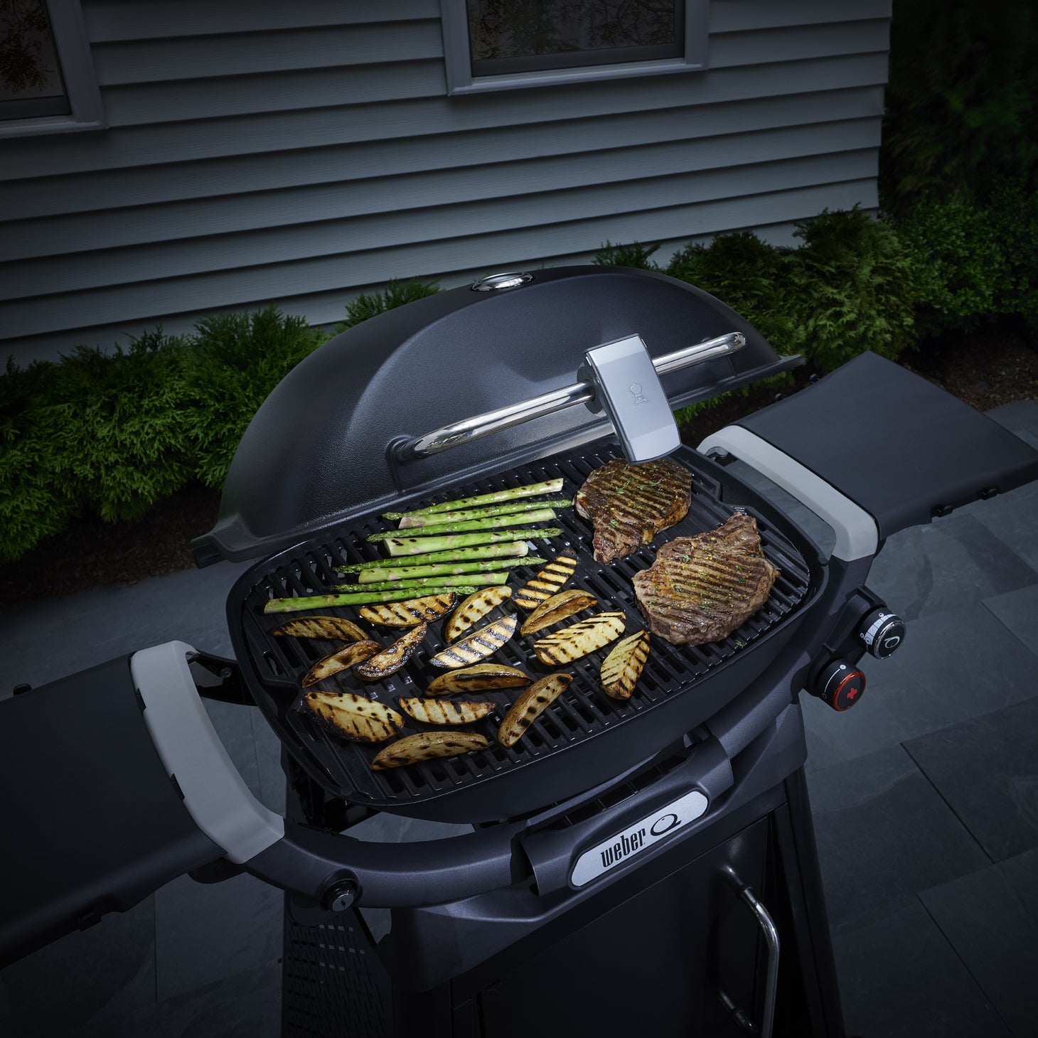 Lumin®/Traveler®/Q™ (Q3) Grill 'n' Go BBQ Handle Light