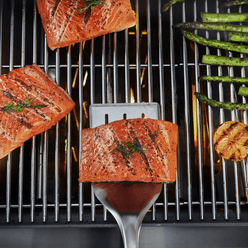 Precision BBQ Grill Spatula