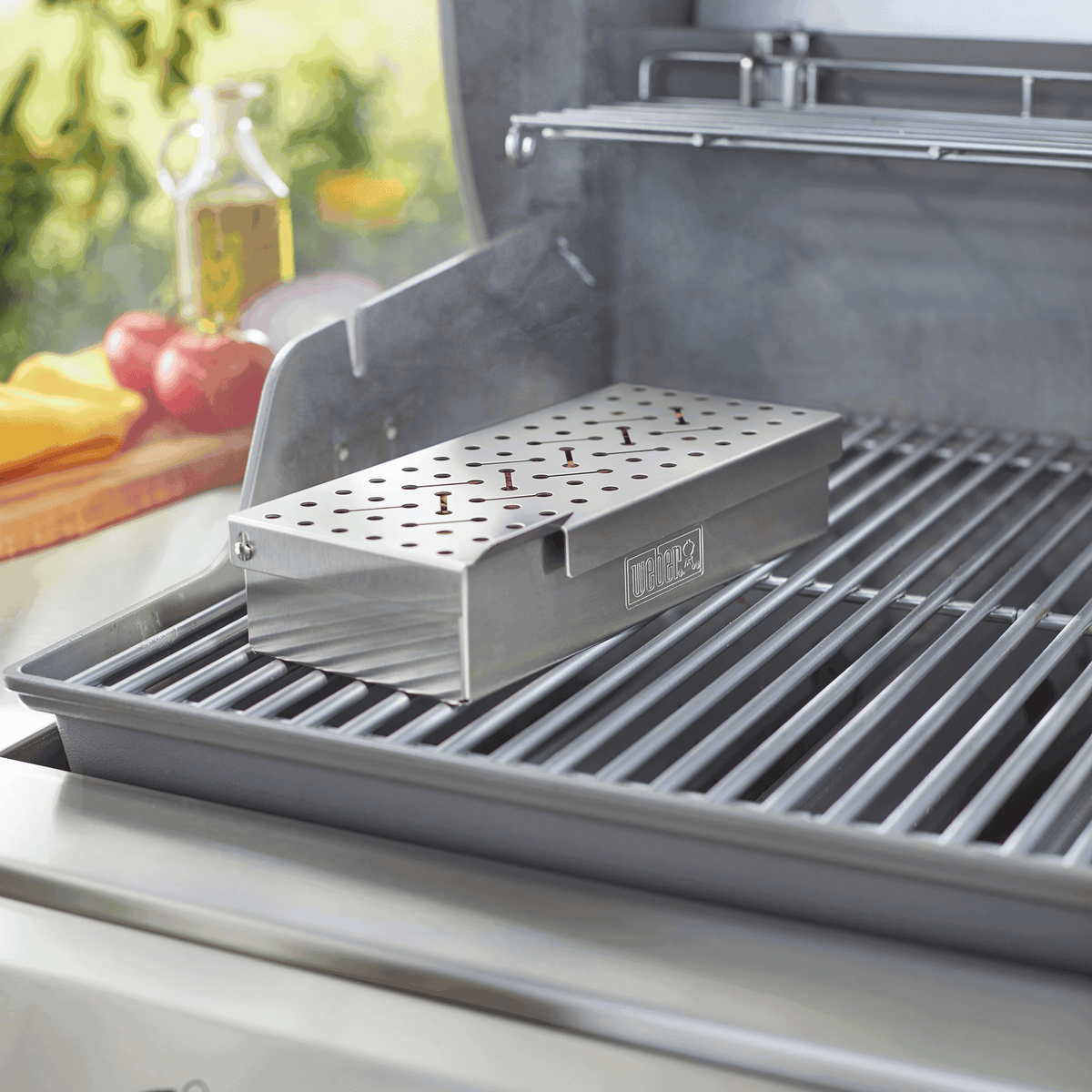 Gas Barbecue Smoker Box