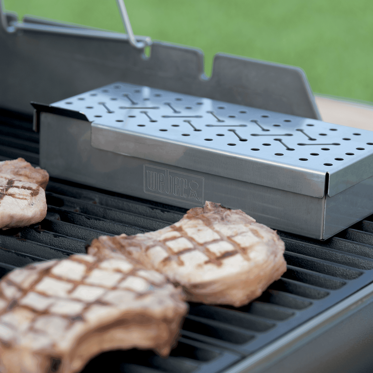 Gas Barbecue Smoker Box