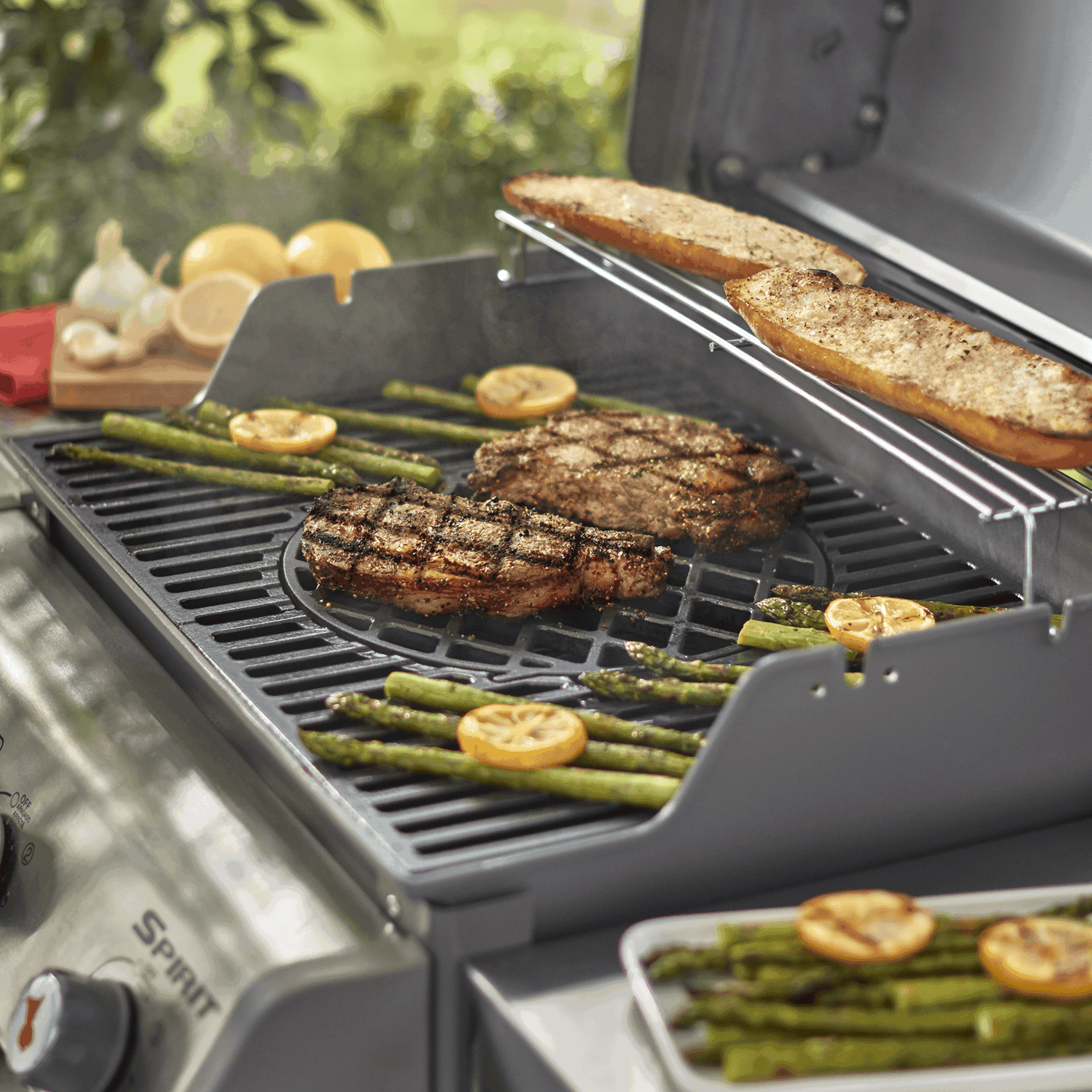 Gourmet BBQ System Sear Grate