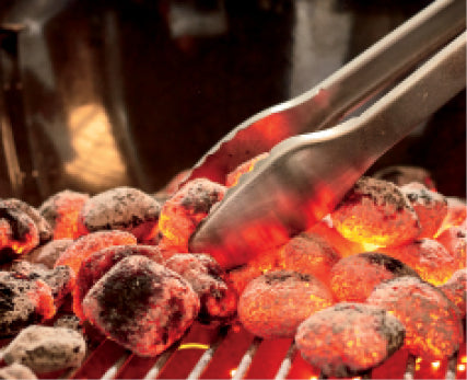 Charcoal Grate